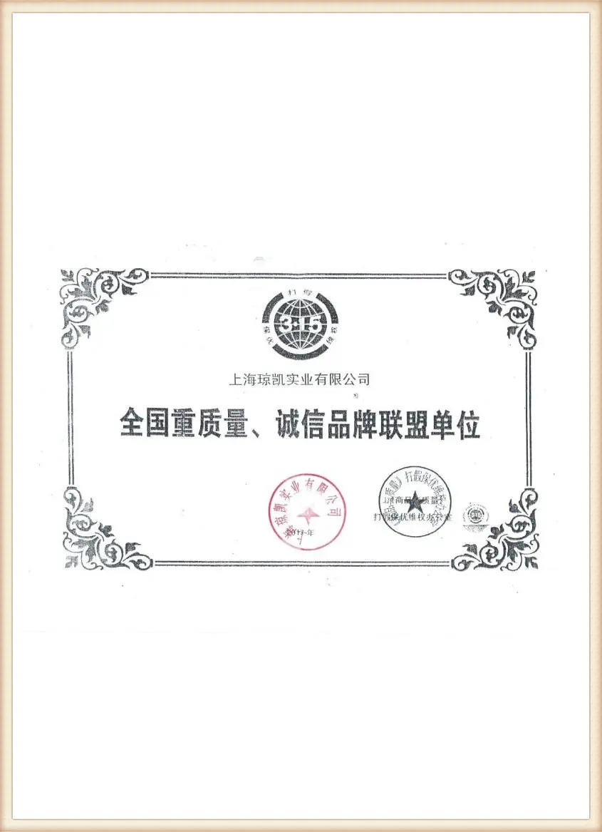 Certificate in Chinese (5)