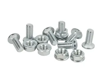 Bridge frame screws