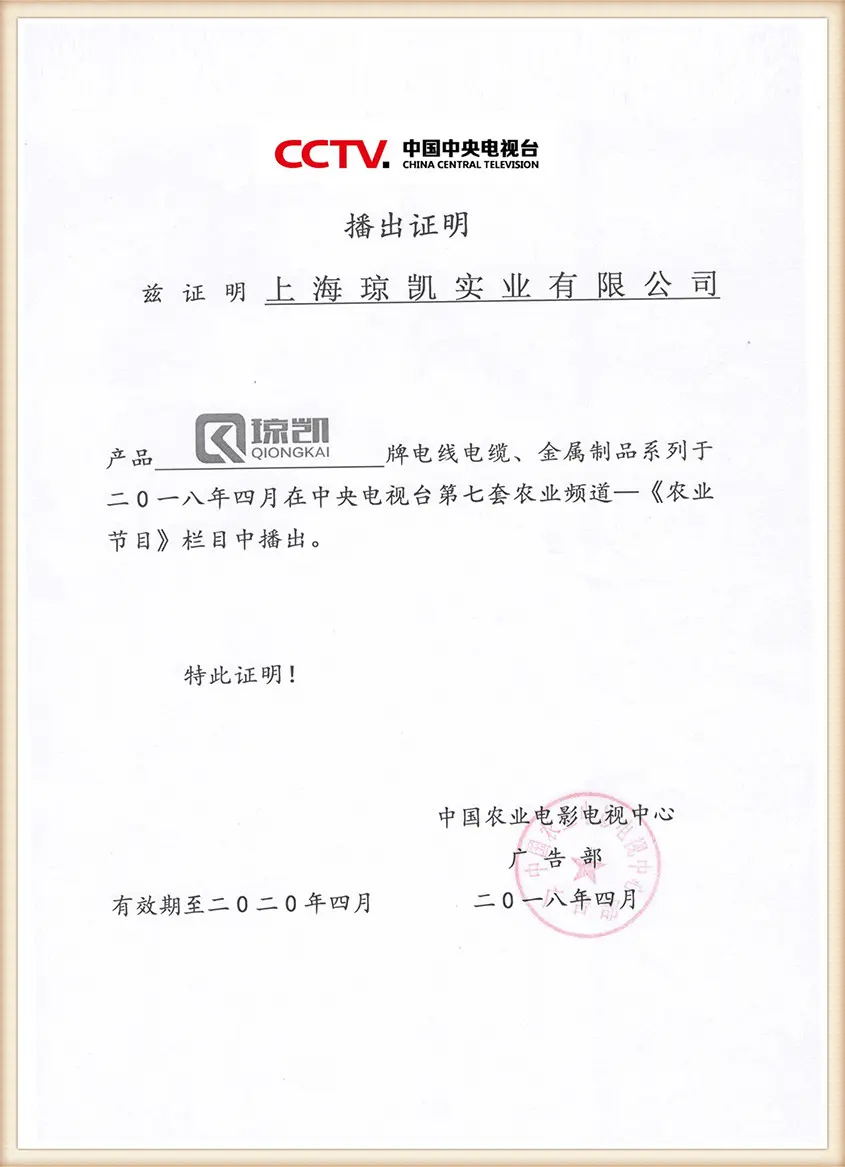 Certificate in Chinese (4)